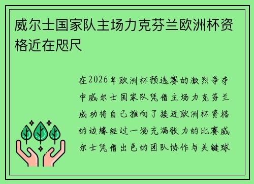 威尔士国家队主场力克芬兰欧洲杯资格近在咫尺